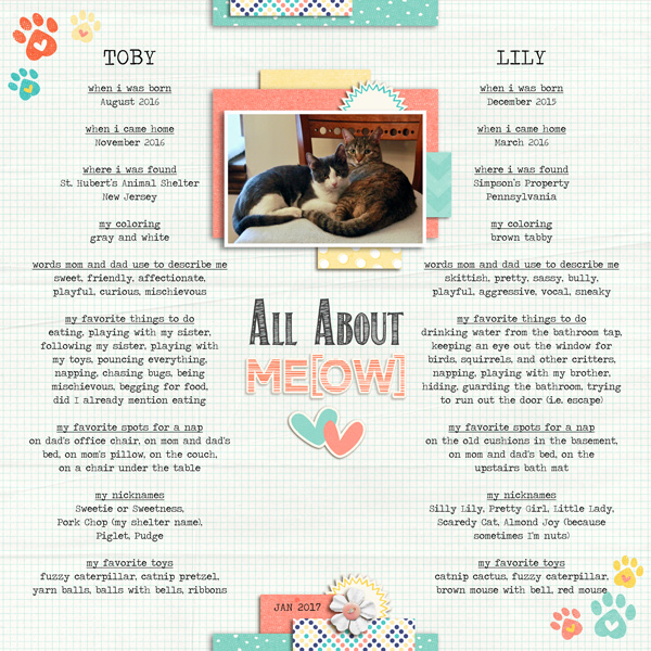 MOC5-08-All-About-Meow