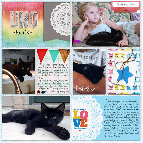 MOC5 26 [Uno the cat]