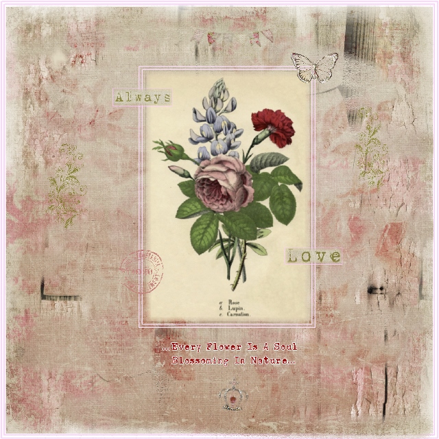 MOC5-Day#16-Tell A Story Through Photos-Every Flower