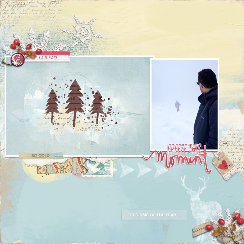 MOC5 - Day12 - Freeze This Moment