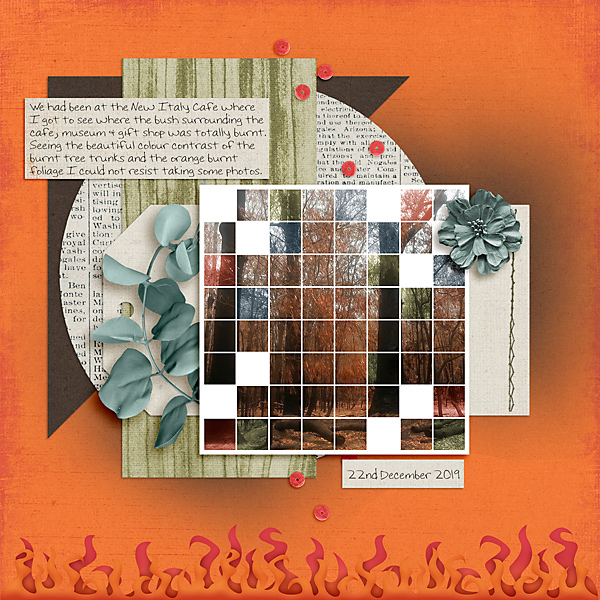 MOC5_GridPhoto_Burnt-Trees