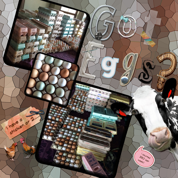 MOC6-1-29-5AlphaChallenge-GotEggsWEB