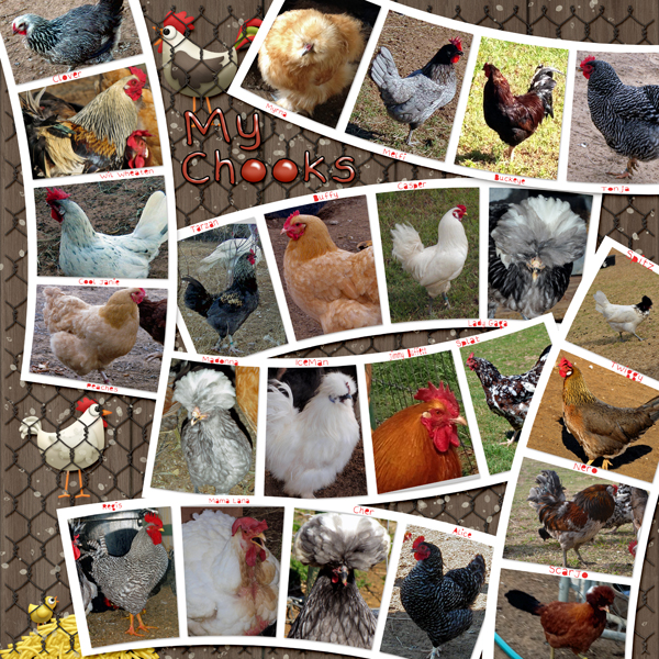 MOC6-1-7-PhotoCollage