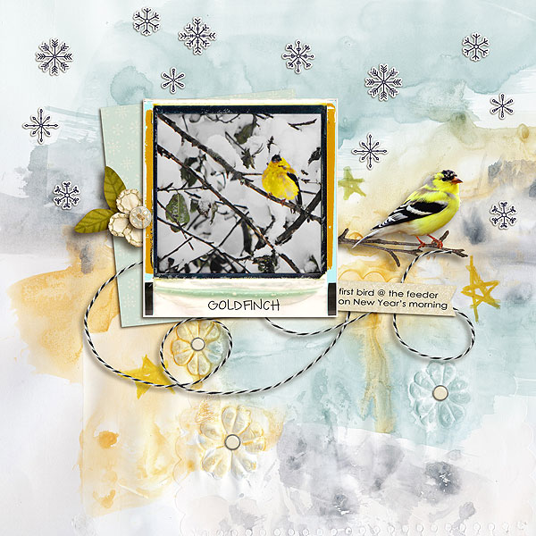 MOC6::2::sketch::goldfinch