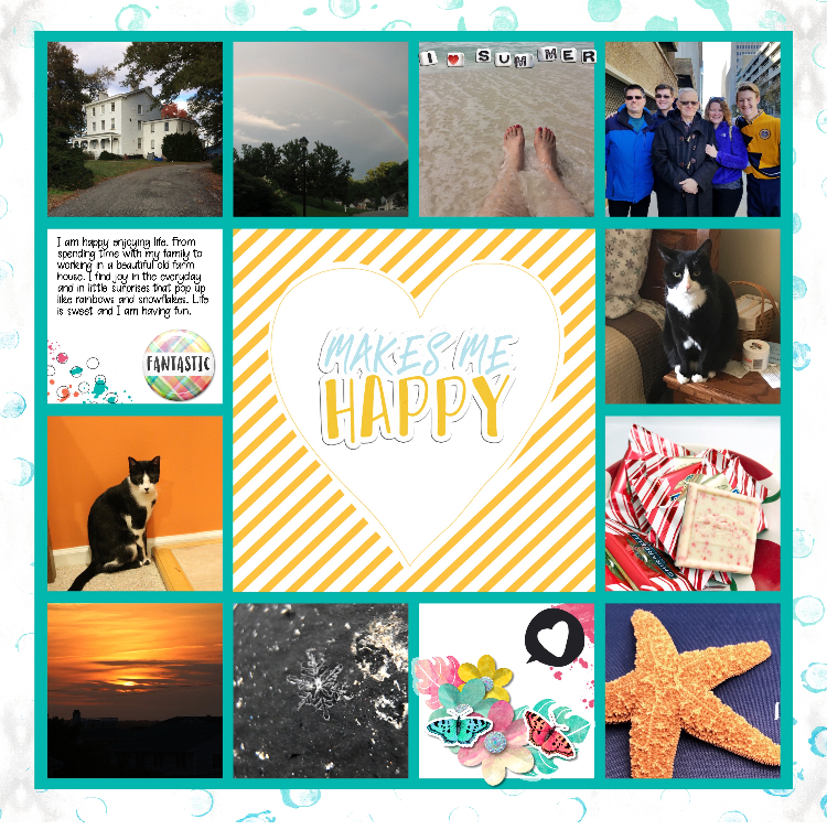 MOC6-21 What Makes You Happy Mosbaskets