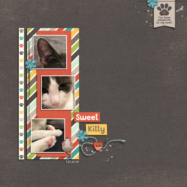 MOC6-24-Sweet-Kitty