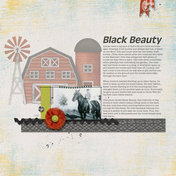 MOC6.26 Black Beauty