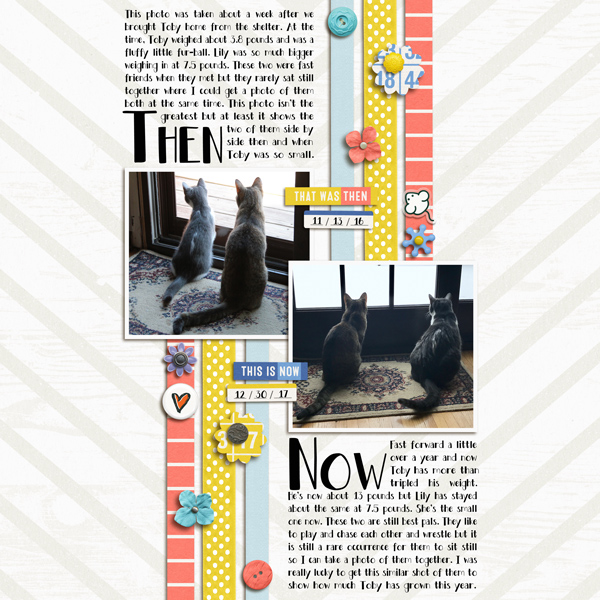 MOC6-31-Then-And-Now