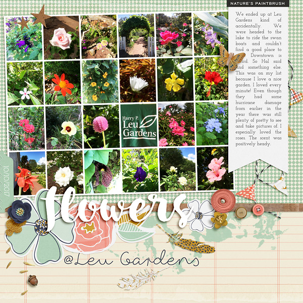 MOC6-7 Flowers at Leu Gardens