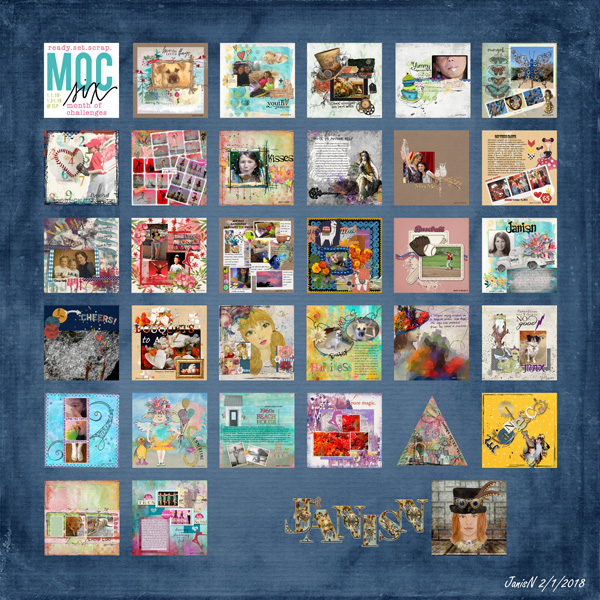 MOC6 Collage All - JanisN