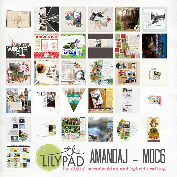 MOC6 Collage AmandaJ