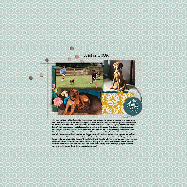 MOC6.Day 11.Maggie's Gotcha Day Story