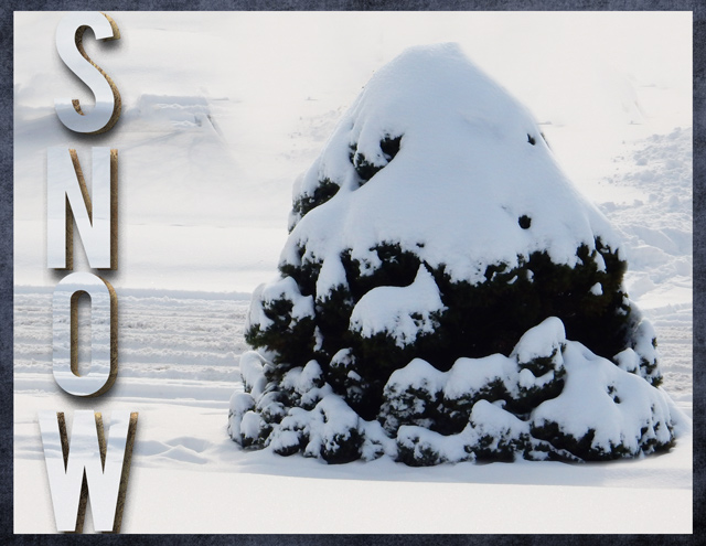 MOC6-Day-#19-SNOW