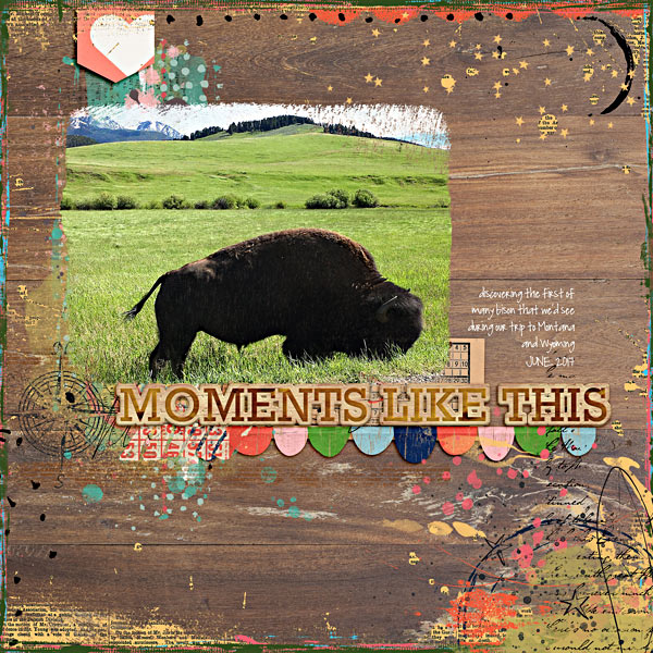 MOC6-Day-5 Bison