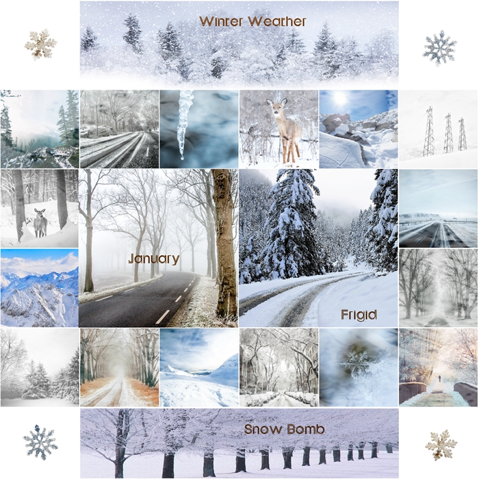 MOC6-Day7-Collage-Large Number Of Photos-January Collage