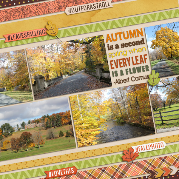 MOC7-22-Autumn