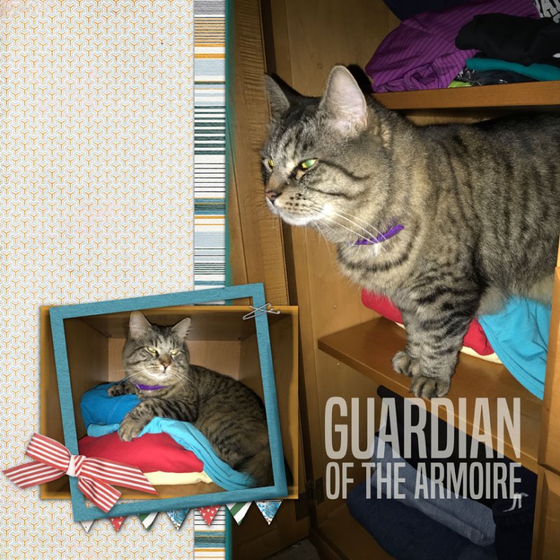 MOC7 Day 15 Guardian of the Armoire