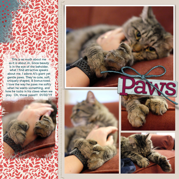MOC7 Day 2 Paws