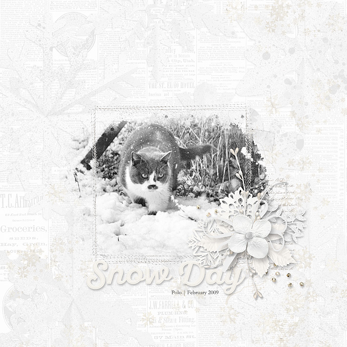 MOC7 Day 9 Snow Day