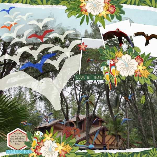 MOC7D27 Animal-Kingdom-Birds