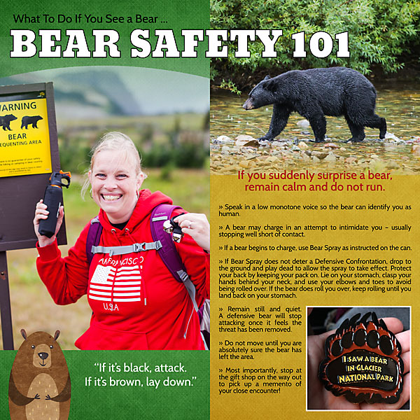 MOC8-07_Magazine_Bear