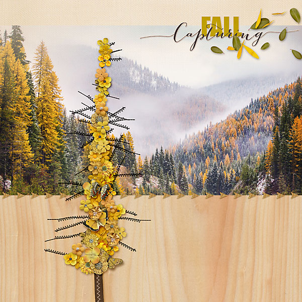 MOC8-08_Tree_Larch