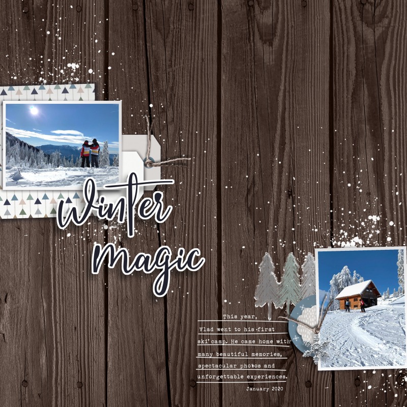 MOC8 - Day29 - Winter Magic