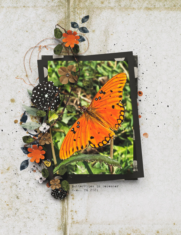 MOC8-Florals&Foliage_ButterfliesInDecember#2