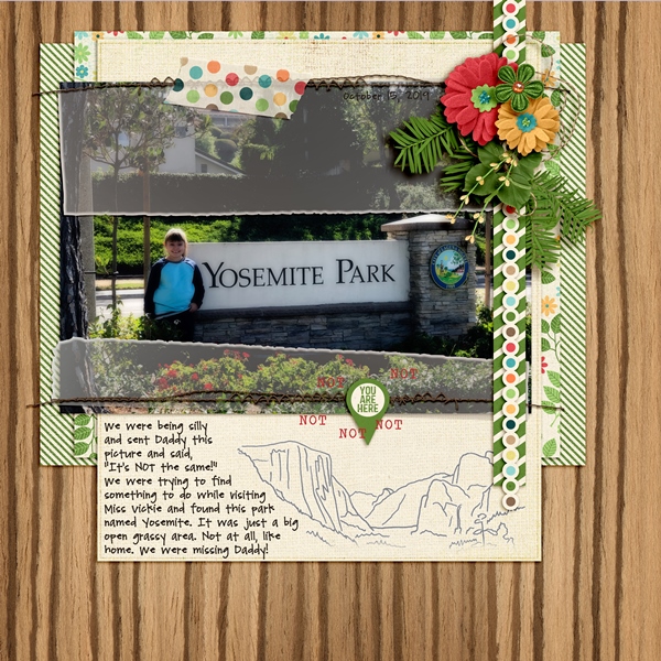 MOC8_ D15_ Vellum Over Photo