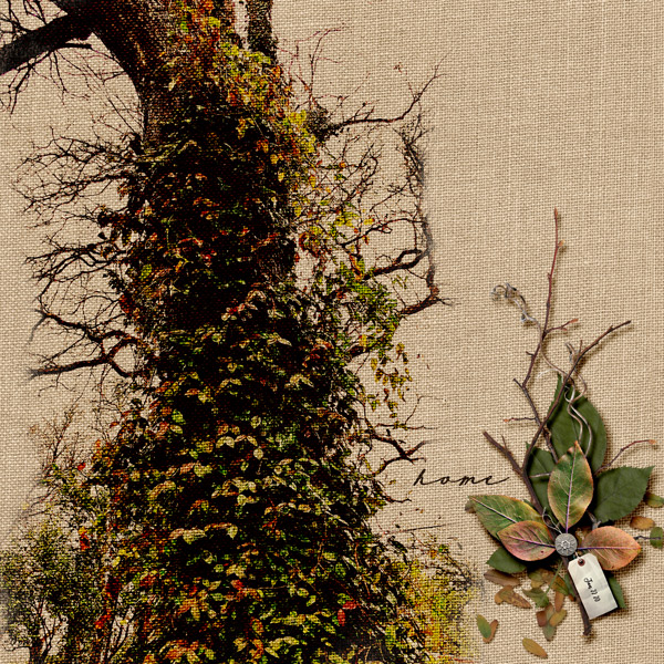 MOC8_DAY21.BOTANICALS_Natural Beauty