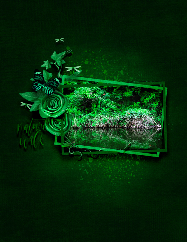MOC8_DeepForrest