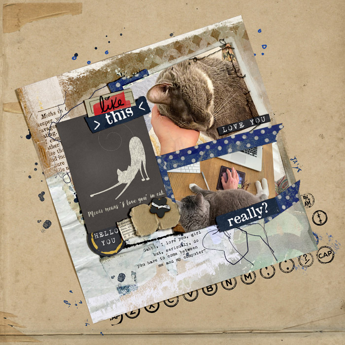 MOC9-25-tilted-Gabbi-copy