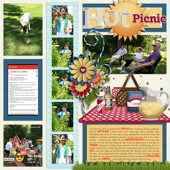 MOC9-29 Hot Picnic