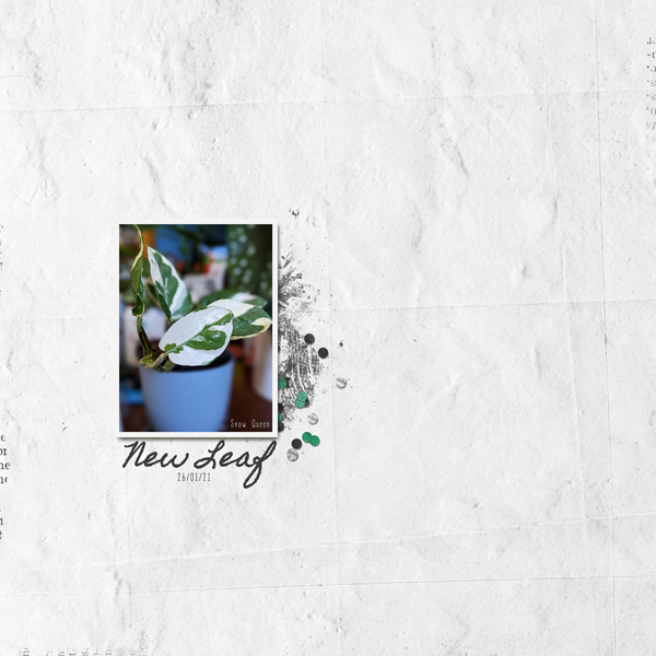 MOC9 Day 15 | New Leaf