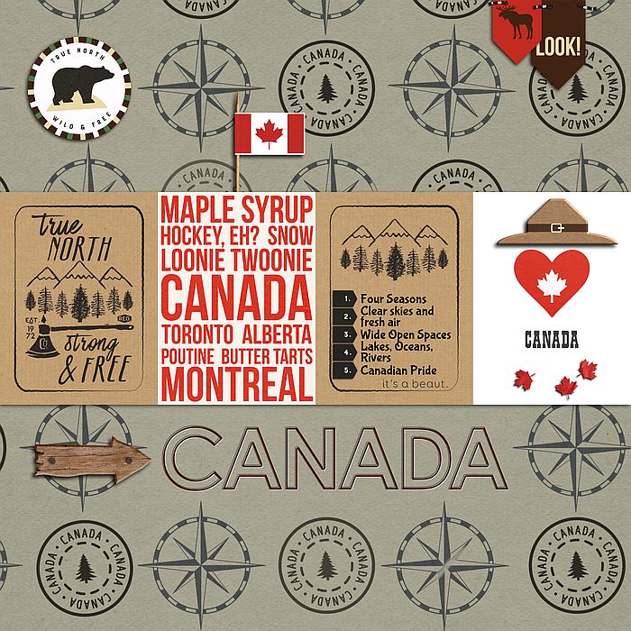 MOC9 Day 19 Stamped Background Canada