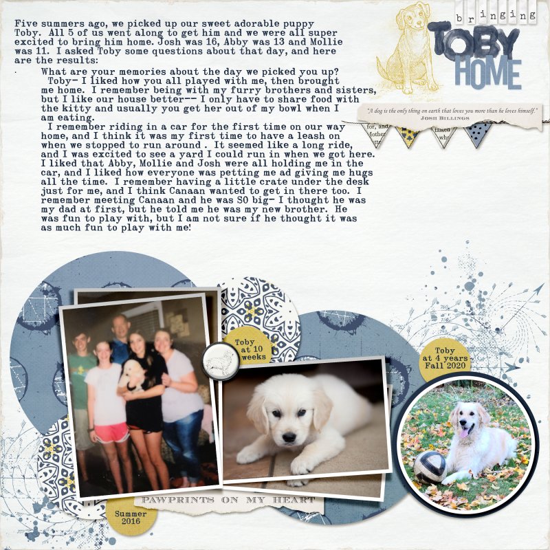 MOC9 Day 31- Bringing Toby Home