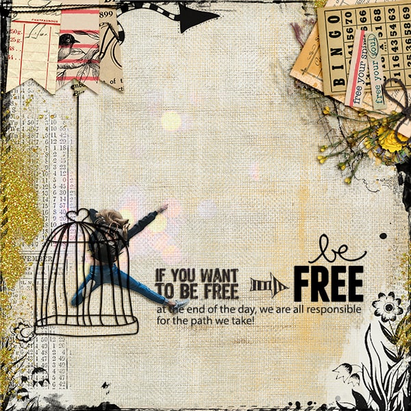 MOC9_Free As Bird_SOSN