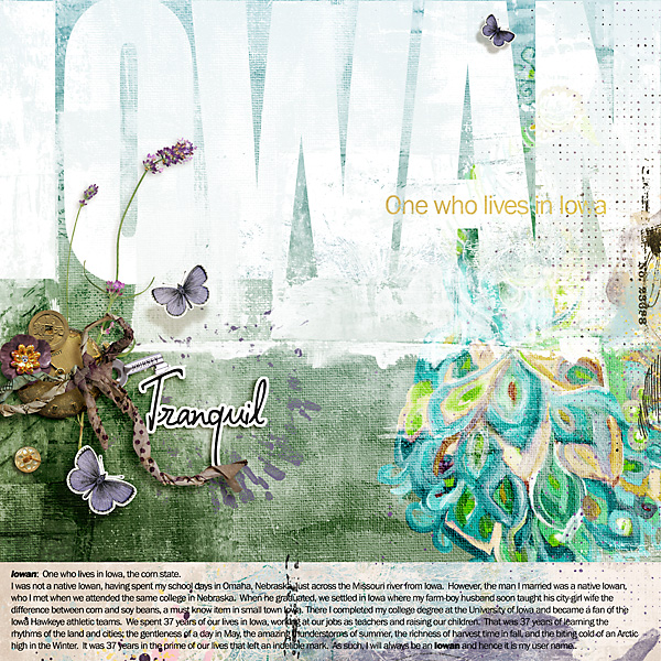 MOC_6.17 UN-Iowan