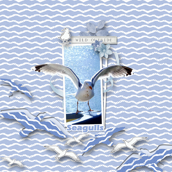 MOC_8_Day_19_Seagulls