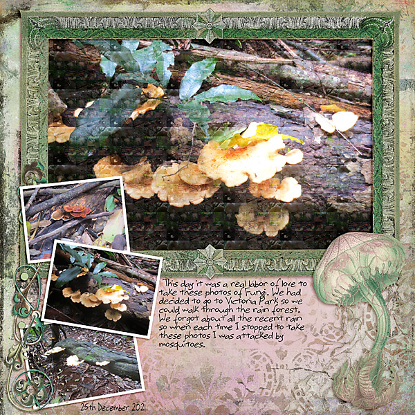 MOC_Day14_Mosaic-Photo-Effect_Fungi