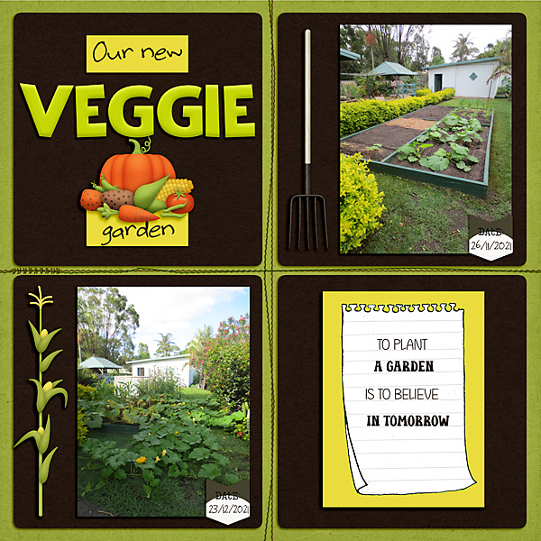 MOC_Day6_Quadrant-Layout_Veggie Garden