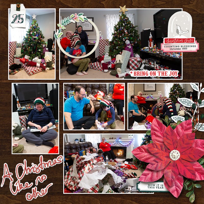 MOCDay5-MultiPhoto