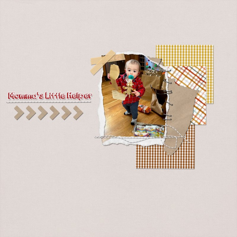 Momma's Little Helper 2021 LC