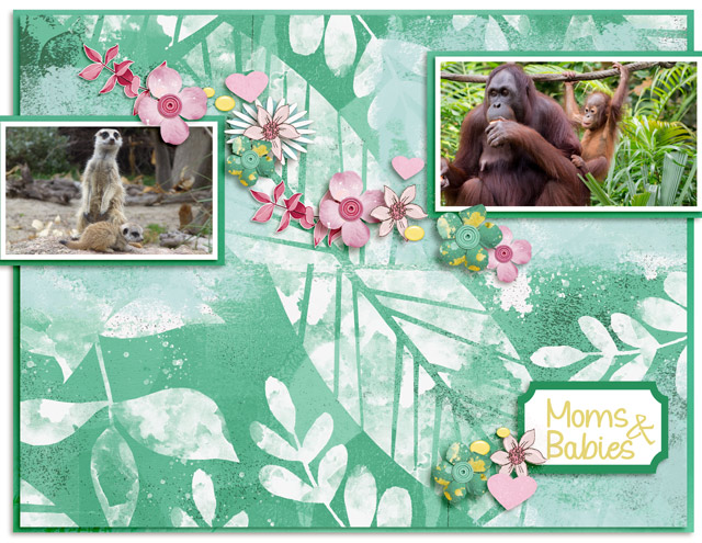 Moms-&-Babies
