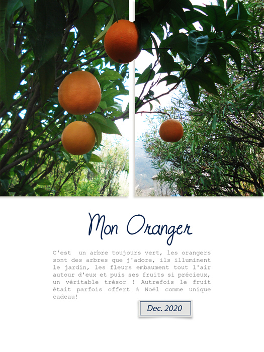 Mon Oranger