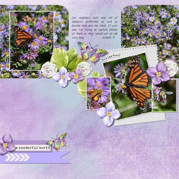 Monarch