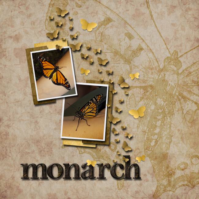 Monarch