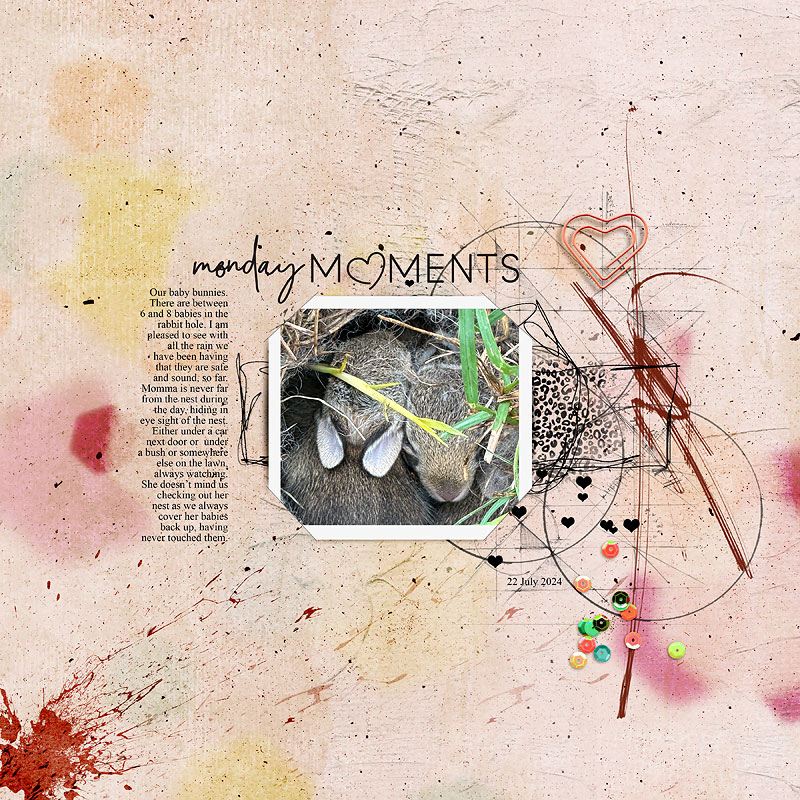Monday Moments
