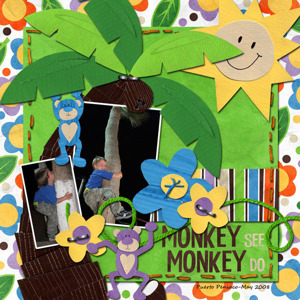 monkey boy
