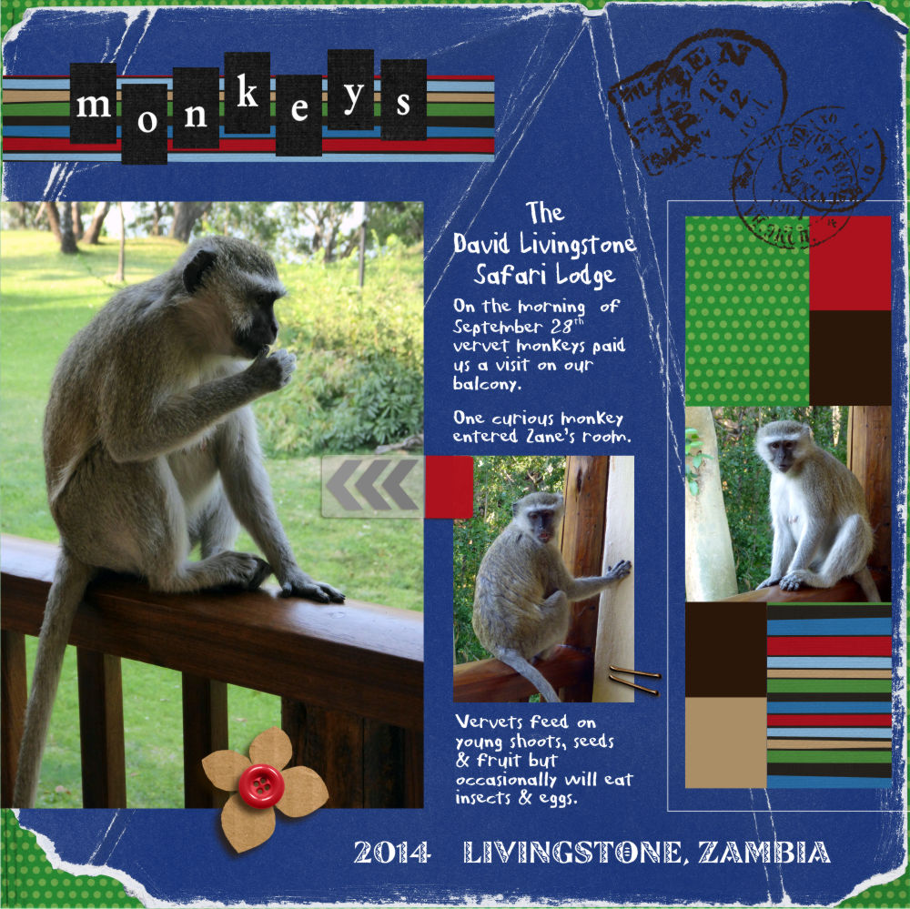 Monkeys @ Livingstone, Zambia